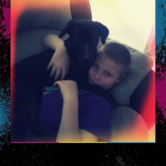 Meet your Posher, Devon - Picture 1 of 1